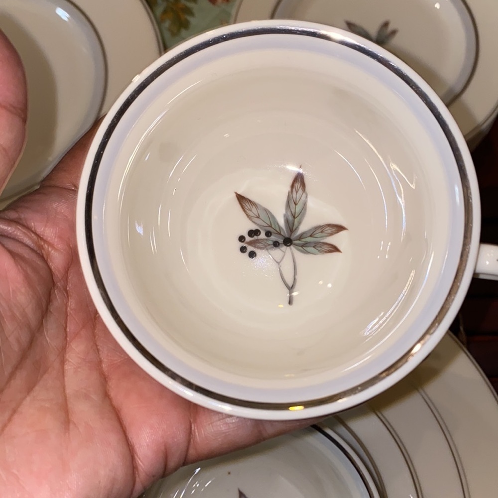 Castleton Fine China Glenwood Service for Four - 40 pc Set - Picture 10 of 10